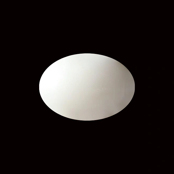 White Coral - 4.84 carats